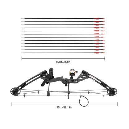 Compound Bow Arrow Set Right Hand Archery Compound Bows Draw Weight 30-55lbs,Adjustable for Adults and Beginners 310fps