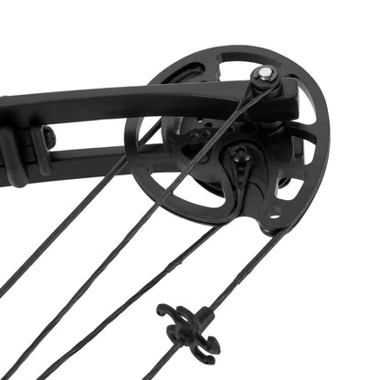 Compound Bow Arrow Set Right Hand Archery Compound Bows Draw Weight 30-55lbs,Adjustable for Adults and Beginners 310fps
